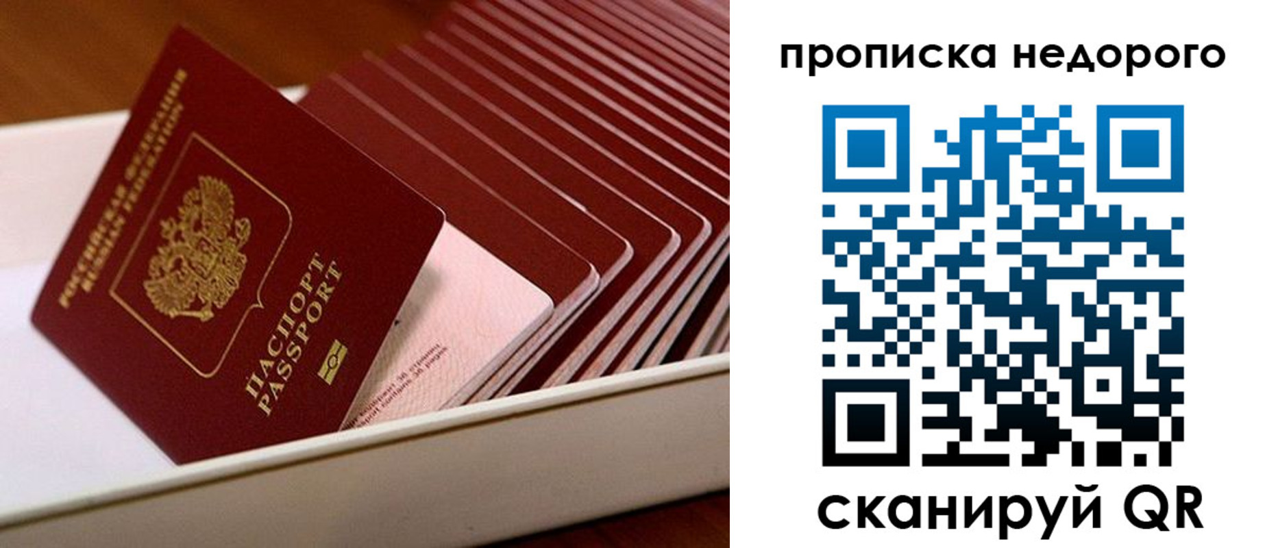 прописка паспорт в Балтийске